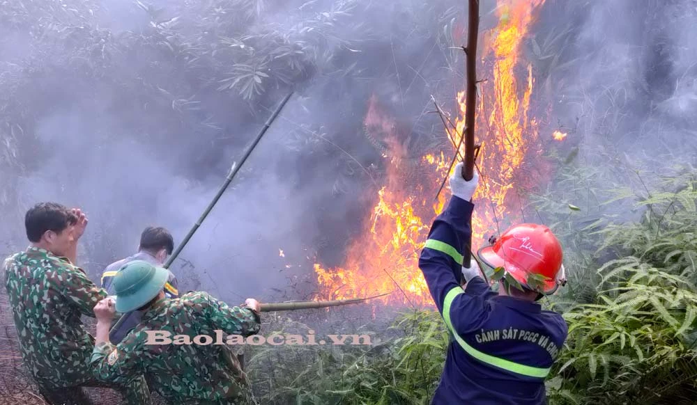 Lực lượng Phòng Cảnh sát Phòng cháy chữa cháy và Cứu nạn cứu hộ (Công an tỉnh) và Trạm Biên phòng Cửa khẩu quốc tế Lào Cai có mặt kịp thời dập đám cháy. Lực lượng Phòng Cảnh sát Phòng cháy chữa cháy và Cứu nạn cứu hộ (Công an tỉnh) và Trạm Biên phòng Cửa khẩu quốc tế Lào Cai có mặt kịp thời dập đám cháy.