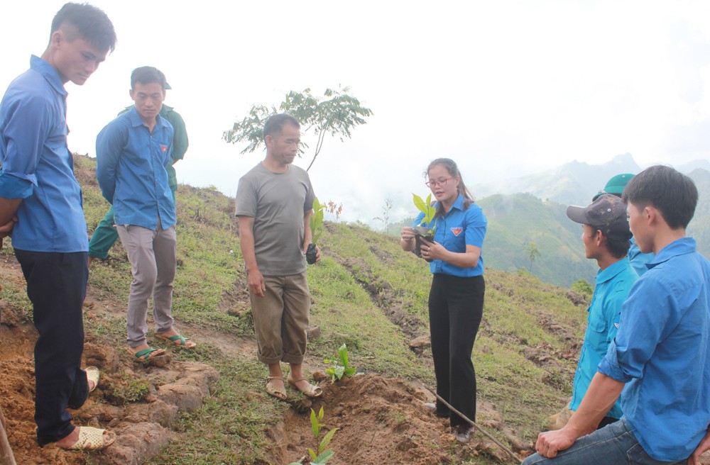 Chuyển giao kỹ thuật trồng chè tới người dân. Chuyển giao kỹ thuật trồng chè tới người dân.