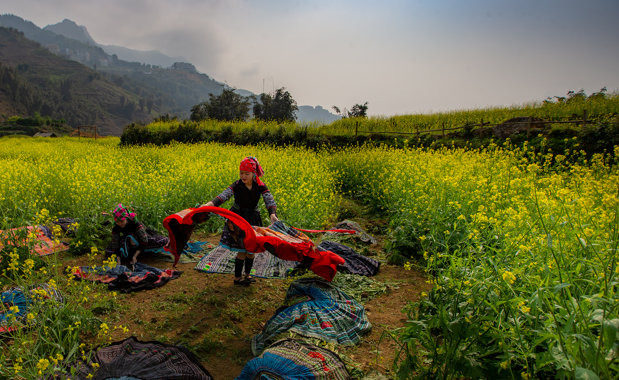 Sắc vàng Cát Cát ảnh 4