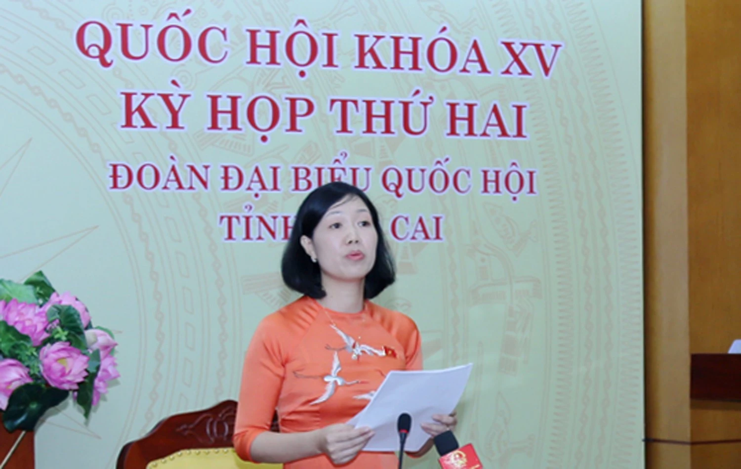 Đại biểu Nguyễn Thị Lan Anh: Sửa đổi, bổ sung Luật Sở hữu trí tuệ sẽ luật hóa cam kết của Việt Nam trong các điều ước quốc tế ảnh 2