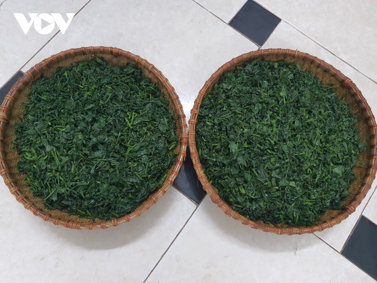 Rau sắn sau khi bóp muối, vắt bỏ nước ngái. Rau sắn được bà con muối trong chum, vại.