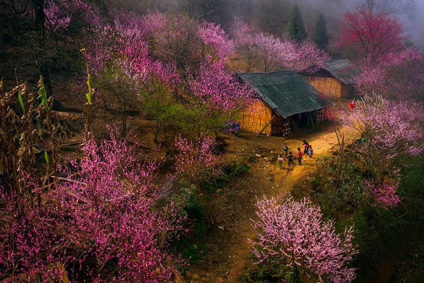 Chiêm ngưỡng tác phẩm đoạt giải Cuộc thi ảnh “Vẻ đẹp du lịch Bát Xát” năm 2021 ảnh 1 Chiêm ngưỡng tác phẩm đoạt giải Cuộc thi ảnh “Vẻ đẹp du lịch Bát Xát” năm 2021 ảnh 1