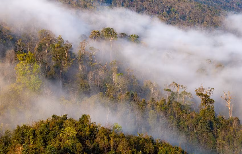 Huyền ảo mùa mây Y Tý ảnh 6