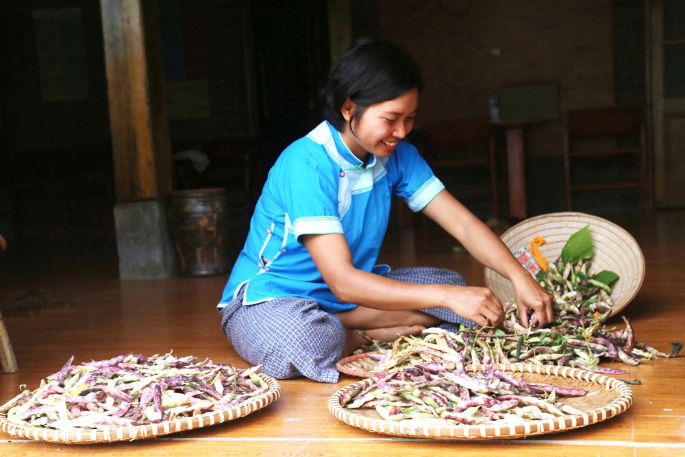 Chị Bùi Thị Oanh chọn đậu pinto cho khách đặt mua.