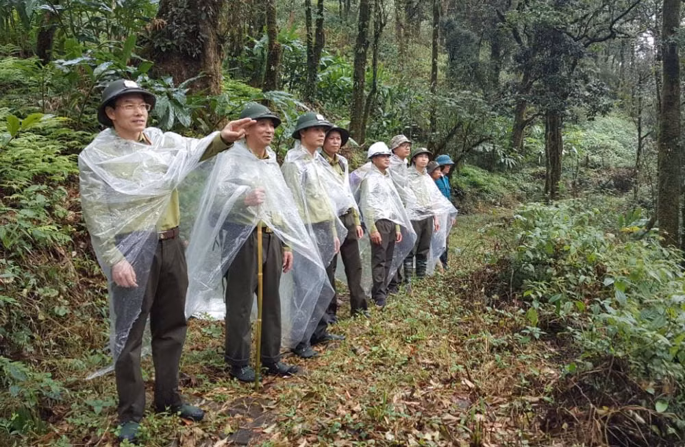 Lực lượng kiểm lâm và các đơn vị liên quan cần tăng cường thực hiện các biện pháp quản lý, bảo vệ rừng