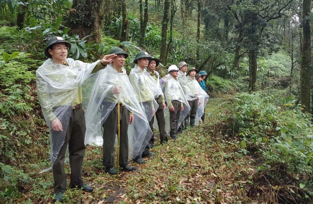 Lực lượng kiểm lâm và các đơn vị liên quan cần tăng cường thực hiện các biện pháp quản lý, bảo vệ rừng