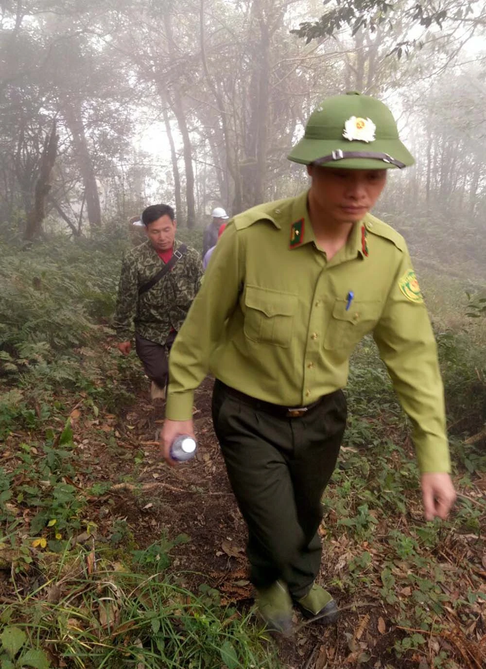 Tăng cường thực hiện các biện pháp quản lý, bảo vệ rừng ảnh 2