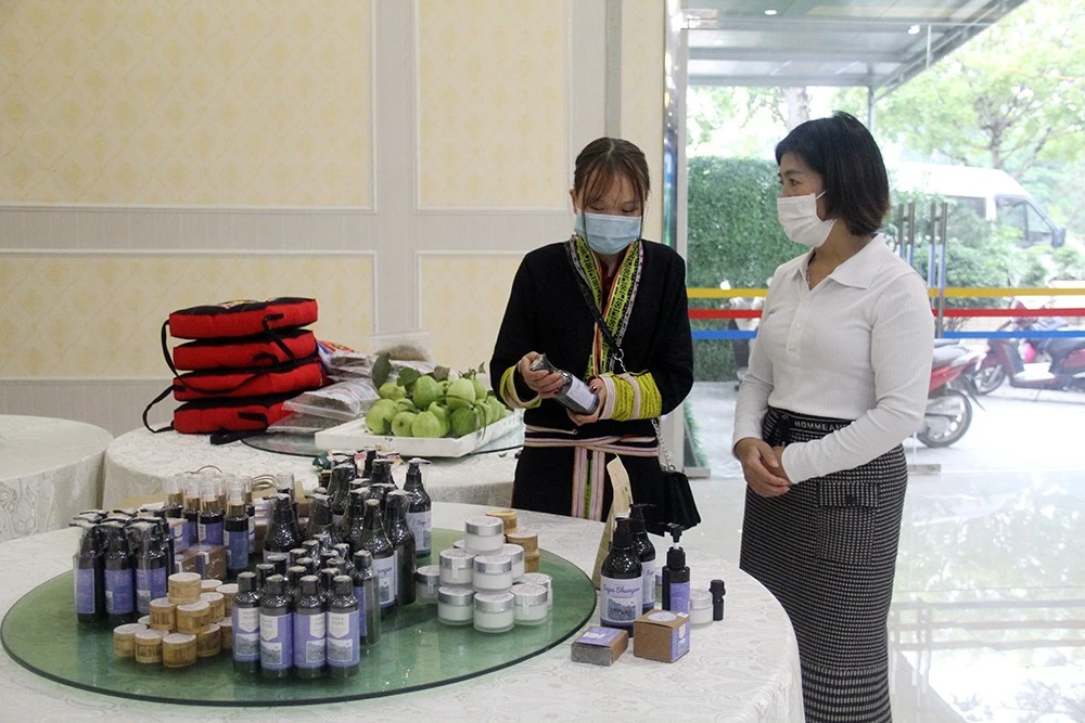 Kết nối đầu tư và bán hàng, hỗ trợ phụ nữ kinh doanh, sản xuất ảnh 4 Kết nối đầu tư và bán hàng, hỗ trợ phụ nữ kinh doanh, sản xuất ảnh 4