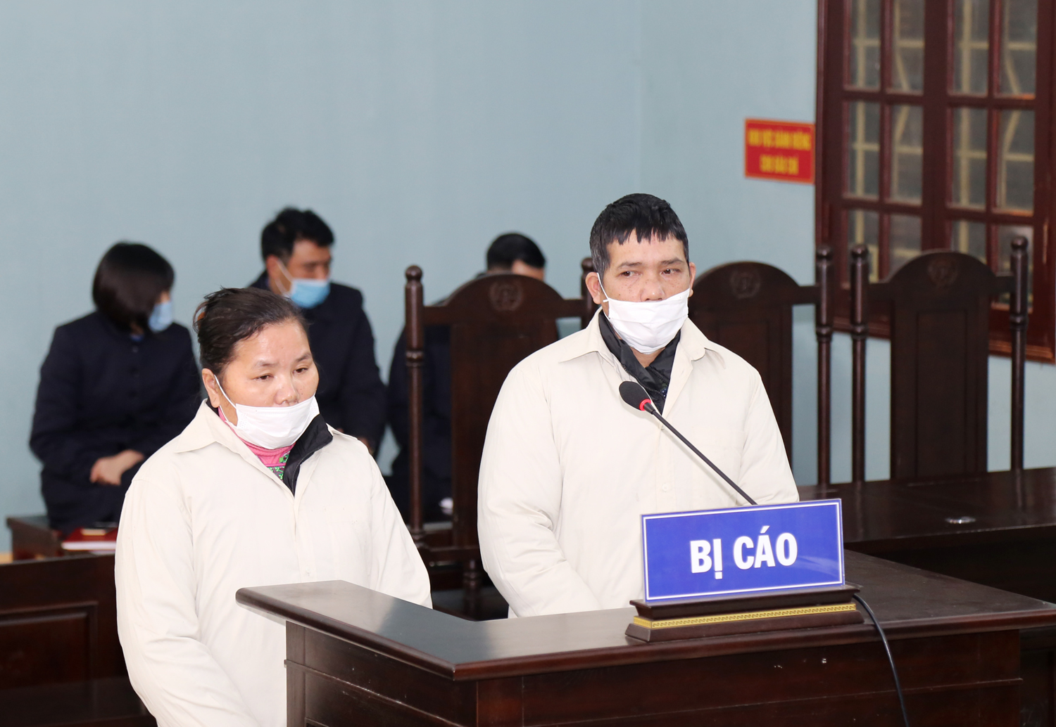 Sa Pa: Xét xử hai vụ án các đối tượng phá rừng và mua bán trái phép chất ma túy ảnh 3