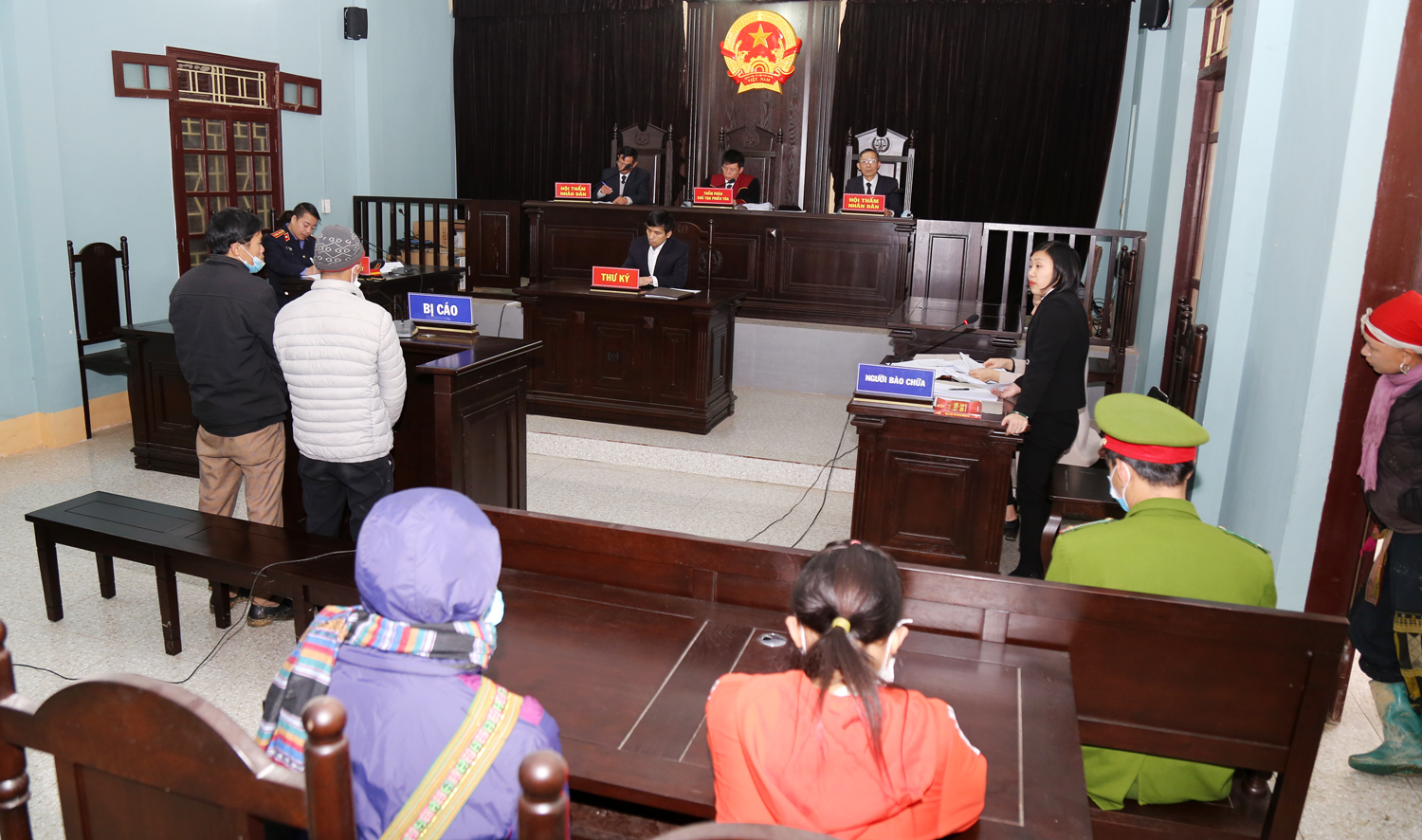 Sa Pa: Xét xử hai vụ án các đối tượng phá rừng và mua bán trái phép chất ma túy ảnh 1