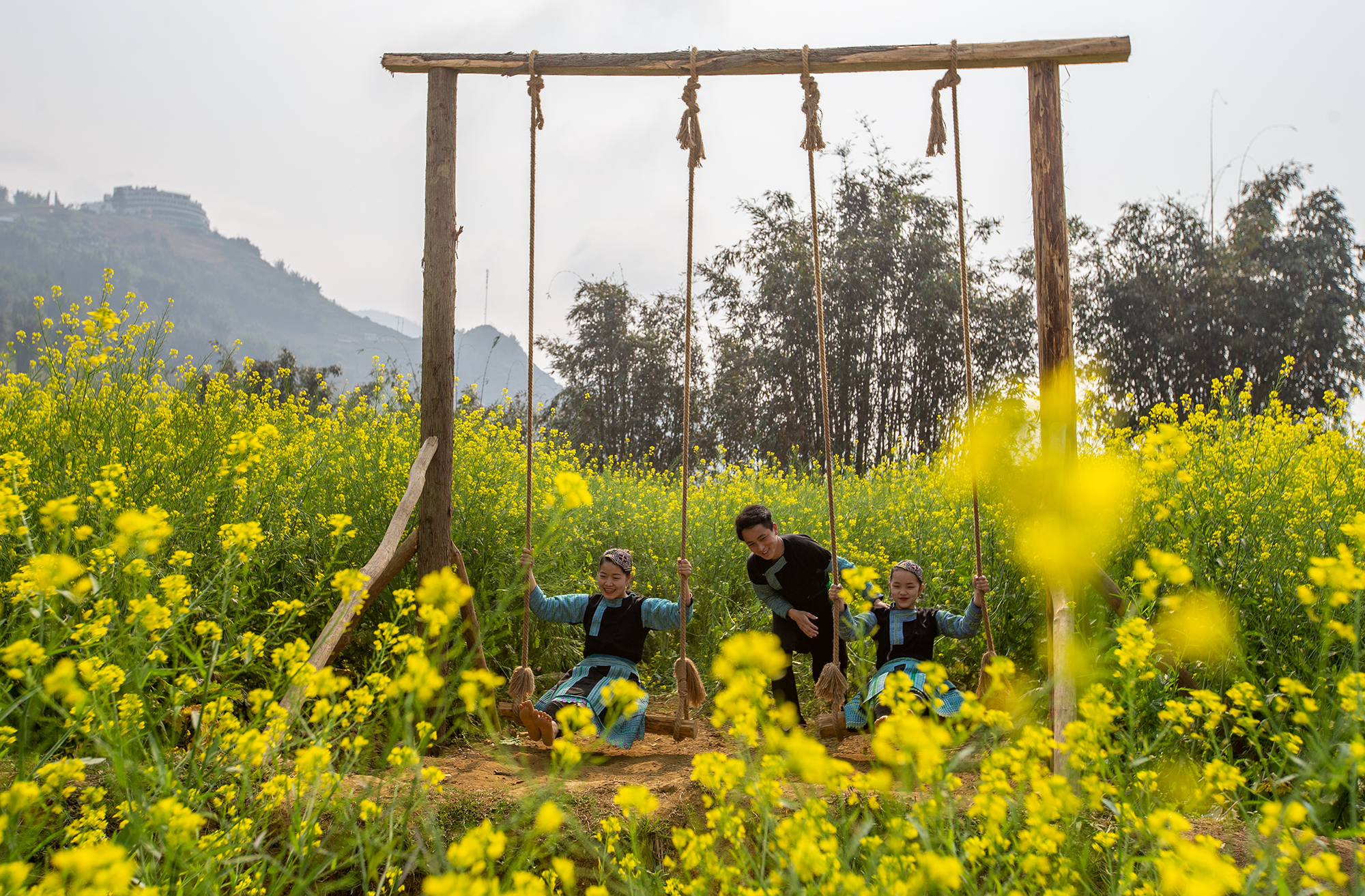 Sắc vàng Cát Cát ảnh 3