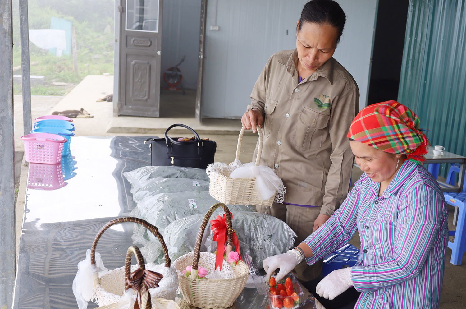 Lên Bắc Hà trải nghiệm vườn rau, quả ôn đới ảnh 8