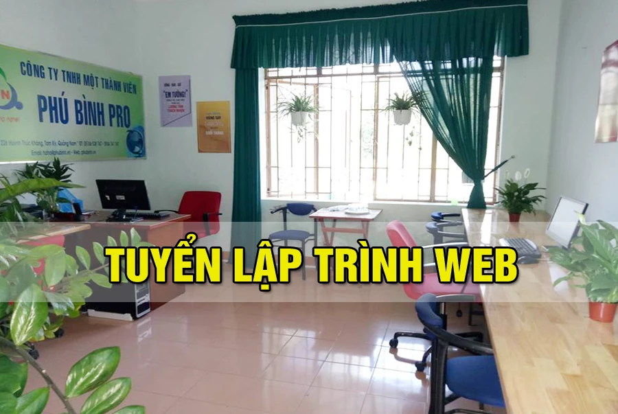Phubinh.vn là đơn vị hàng đầu về thiết kế website
