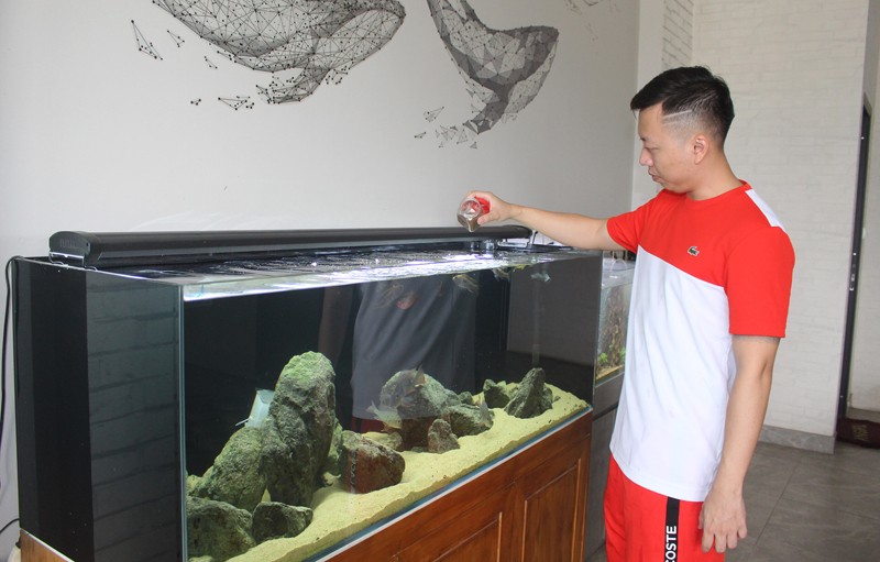 Thú chơi bể thủy sinh ảnh 1 Thú chơi bể thủy sinh ảnh 1