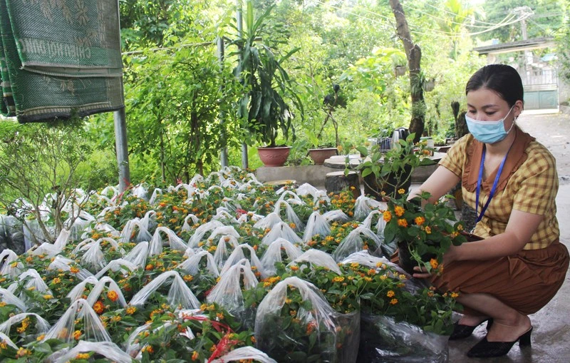 Góp phần xây dựng cộng đồng tốt đẹp ảnh 1