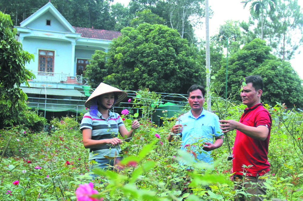 Về nơi “Đường rộng, điện sáng, nhiều hoa…” ảnh 2