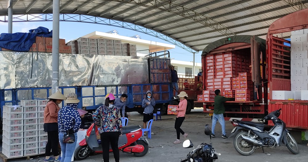 Hàng hóa nhập khẩu được bốc xếp, sang tải trong khu vực dịch vụ logistics của cửa khẩu. Hàng hóa nhập khẩu được bốc xếp, sang tải trong khu vực dịch vụ logistics của cửa khẩu.