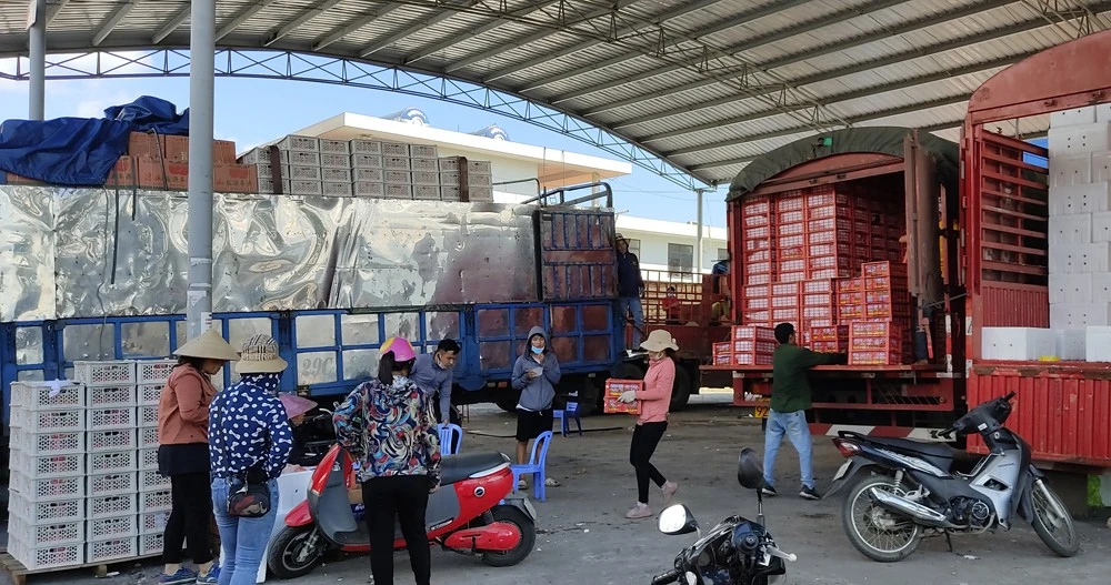 Hàng hóa nhập khẩu được bốc xếp, sang tải trong khu vực dịch vụ logistics của cửa khẩu.