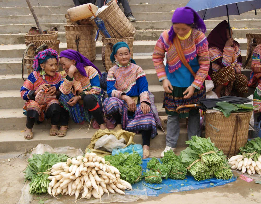 Rau sạch Bắc Hà ảnh 1