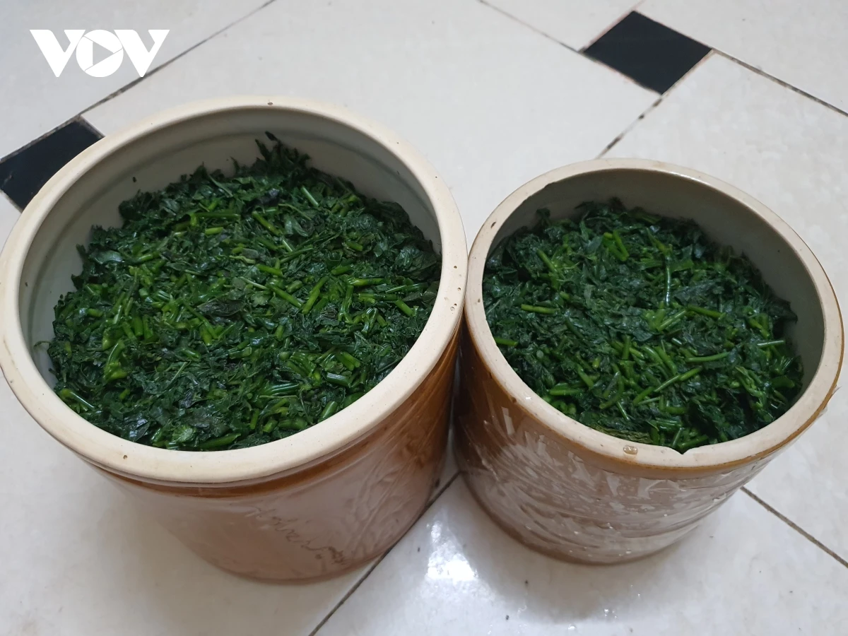 Rau sắn sau khi bóp muối, vắt bỏ nước ngái. Rau sắn được bà con muối trong chum, vại.