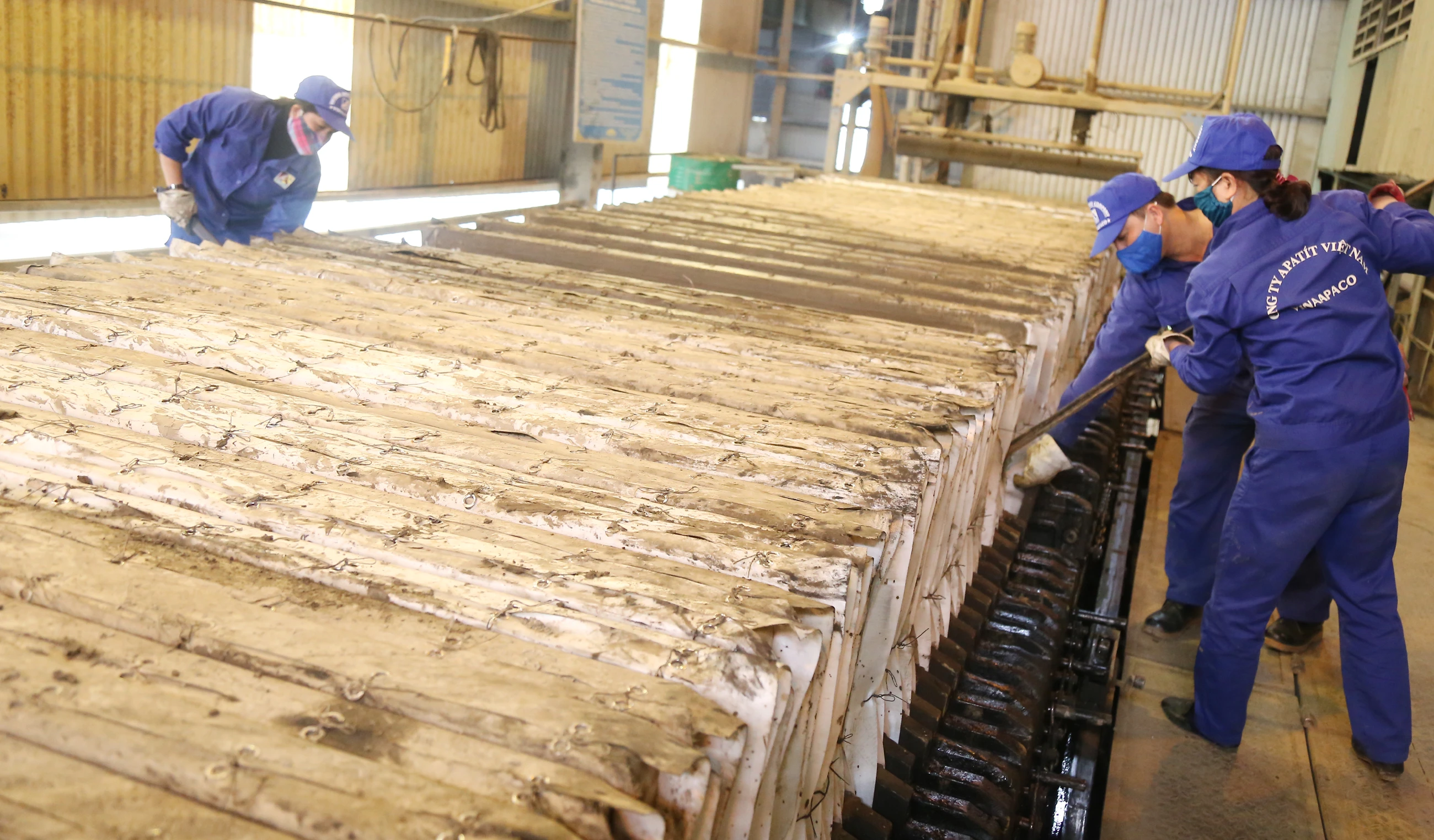 Nhiều doanh nghiệp sản xuất công nghiệp không nghỉ tết ảnh 7