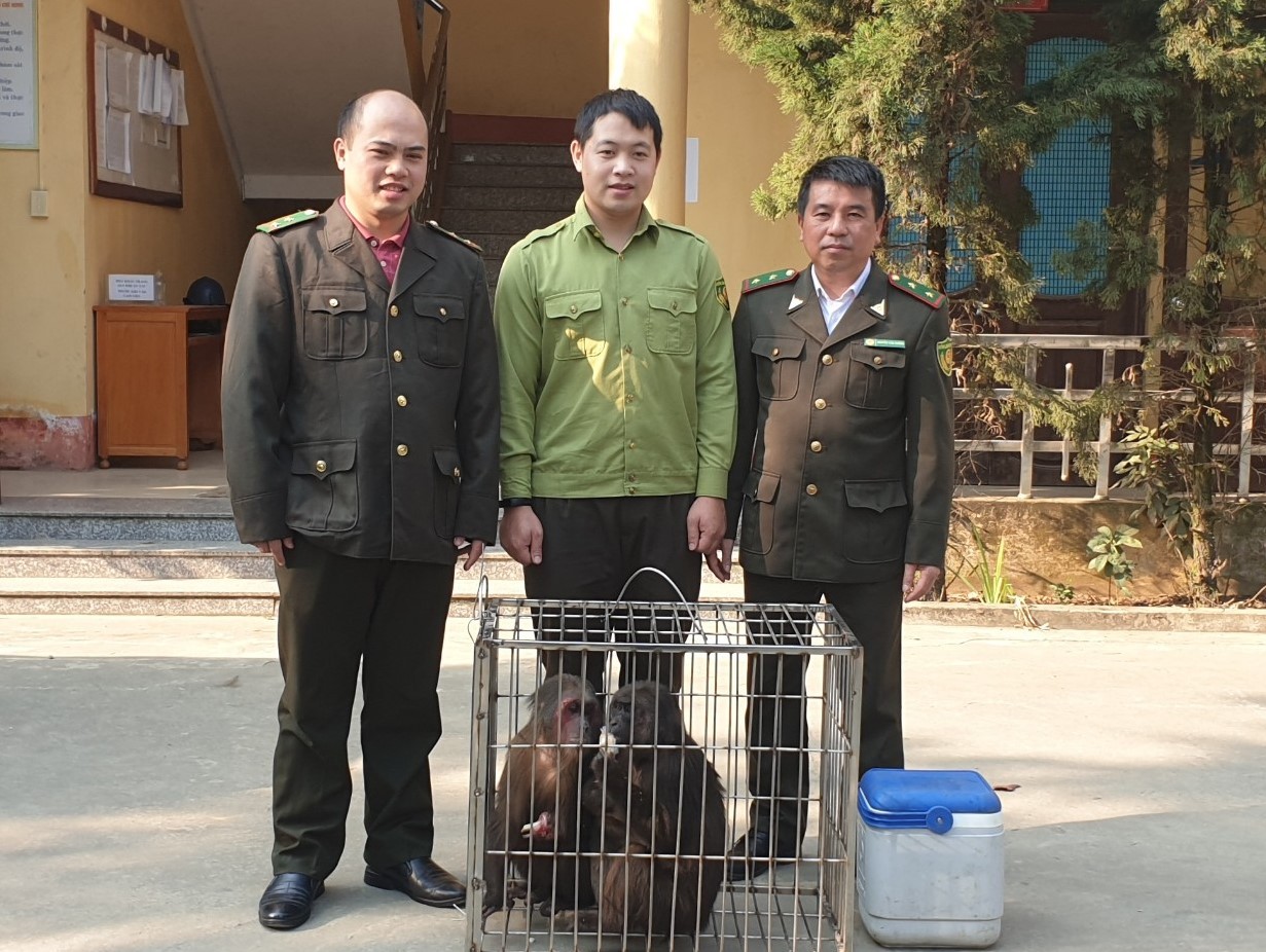 Tiếp nhận 3 cá thể khỉ mặt đỏ do người dân tự nguyện bàn giao ảnh 2