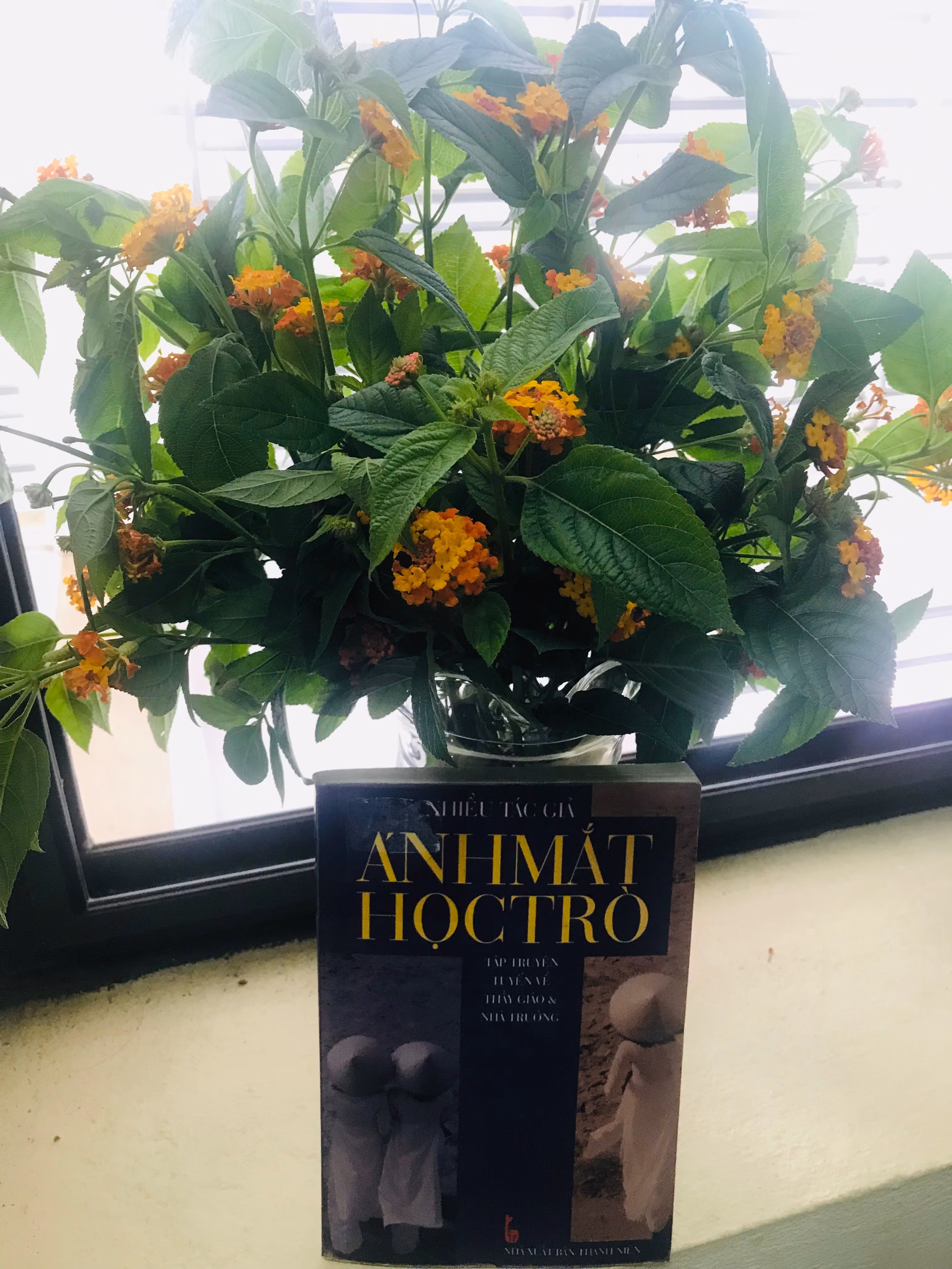 Ánh mắt học trò ảnh 1