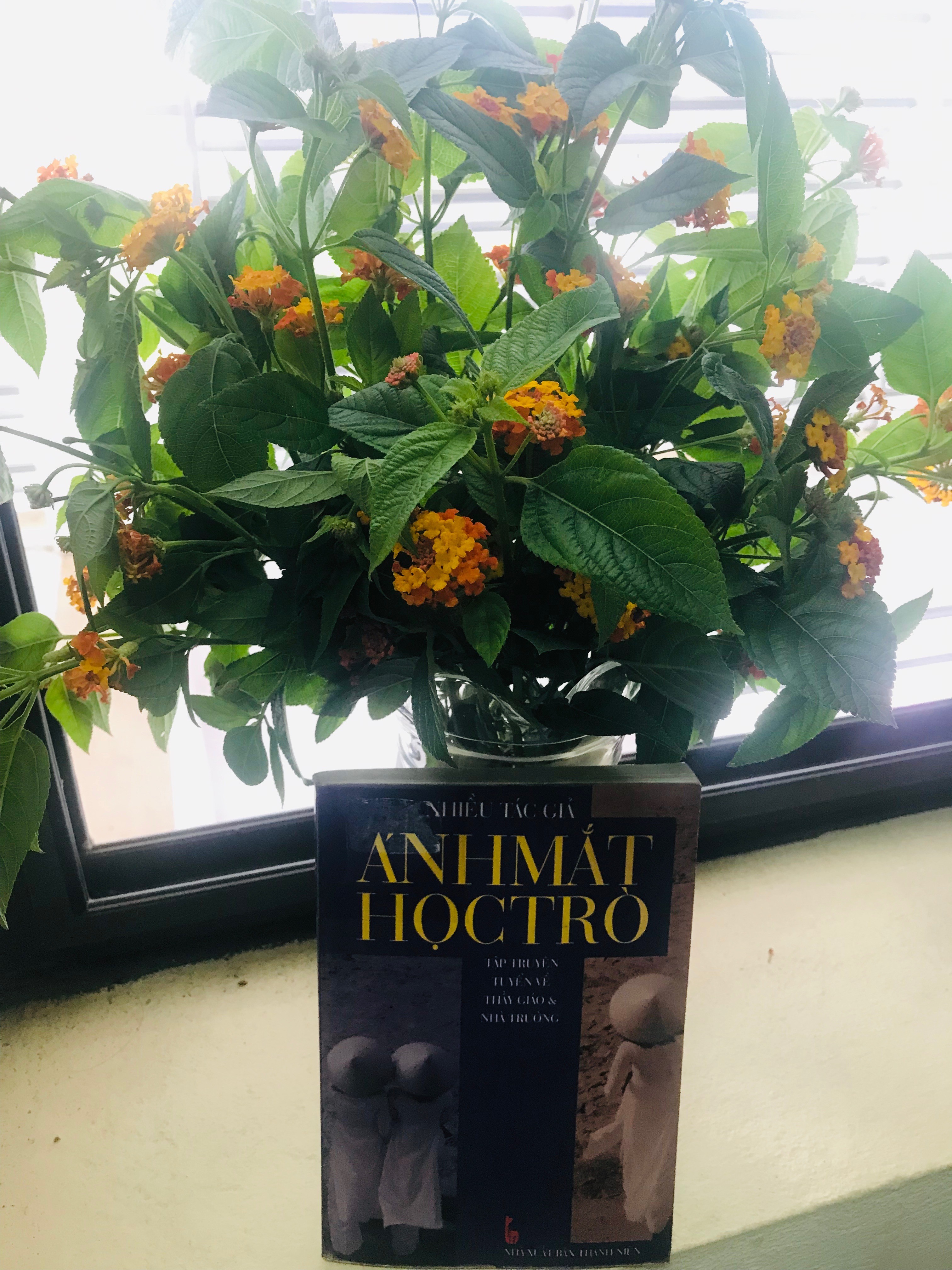 Ánh mắt học trò ảnh 1