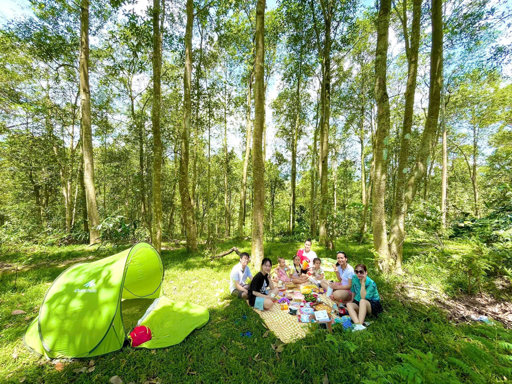 Đồi Nhạc Sơn (thành phố Lào Cai) là lựa chọn dã ngoại cắm trại phù hợp cho các gia đình.