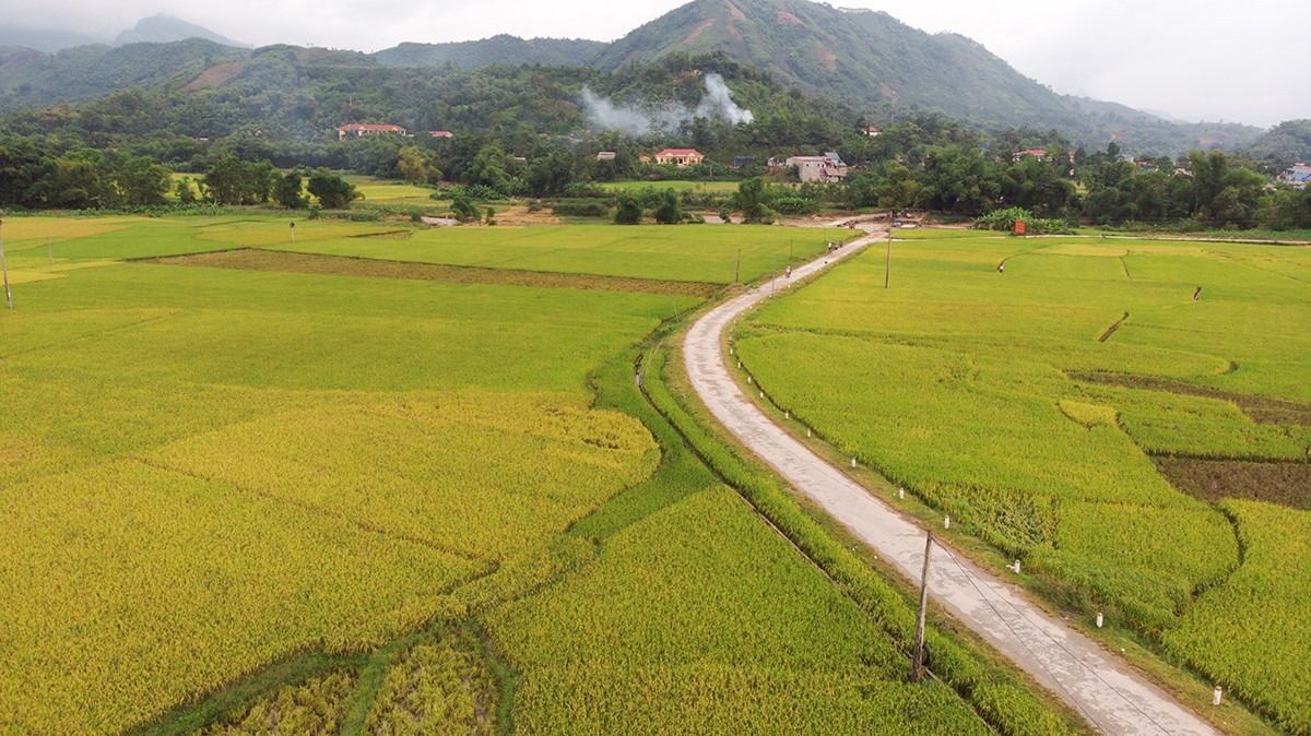 Vững bước dưới cờ Đảng ảnh 5 Vững bước dưới cờ Đảng ảnh 5