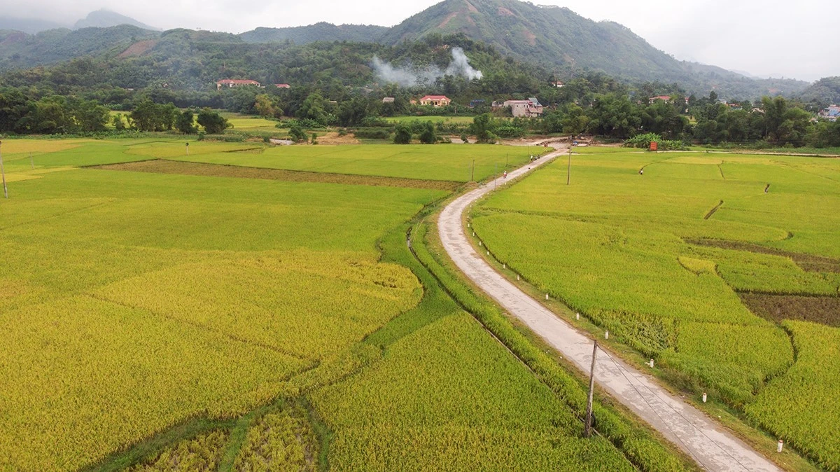 Vững bước dưới cờ Đảng ảnh 5