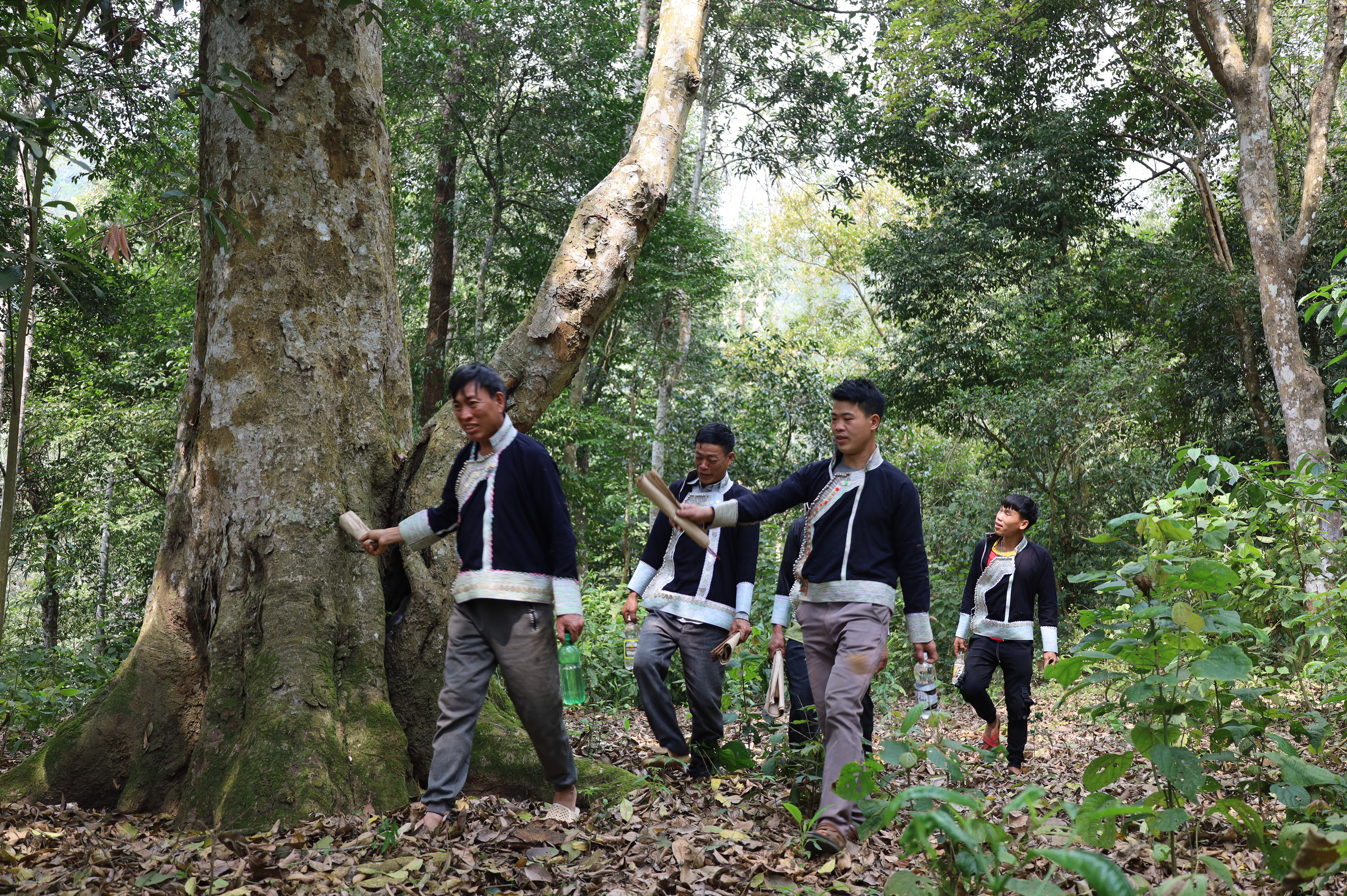 Người dân thôn Dền Sáng mang lễ vật đến khu rừng để cúng thần linh.