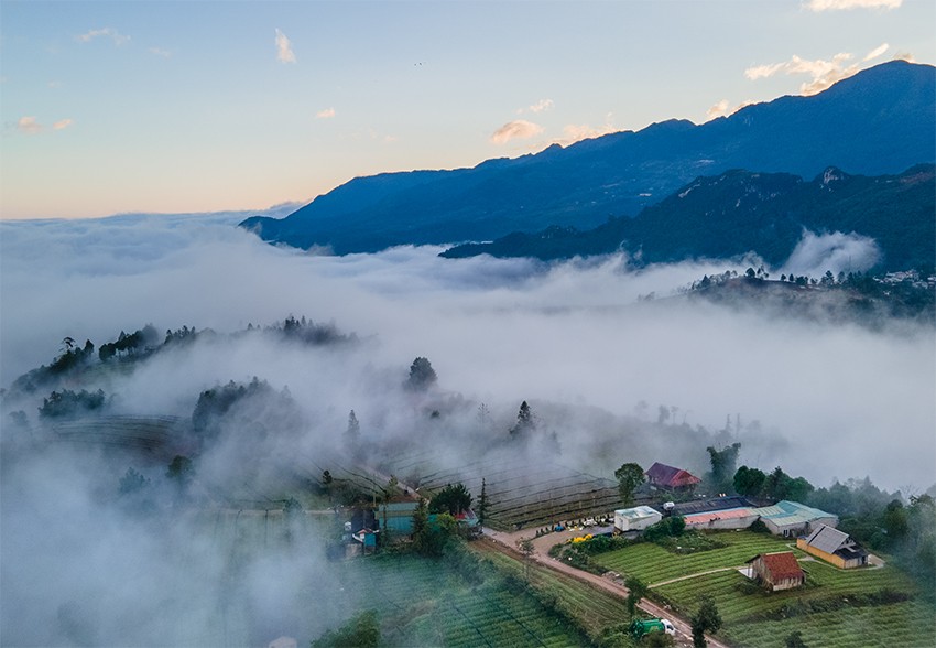 Sa Pa bồng bềnh trong mây trắng ảnh 7