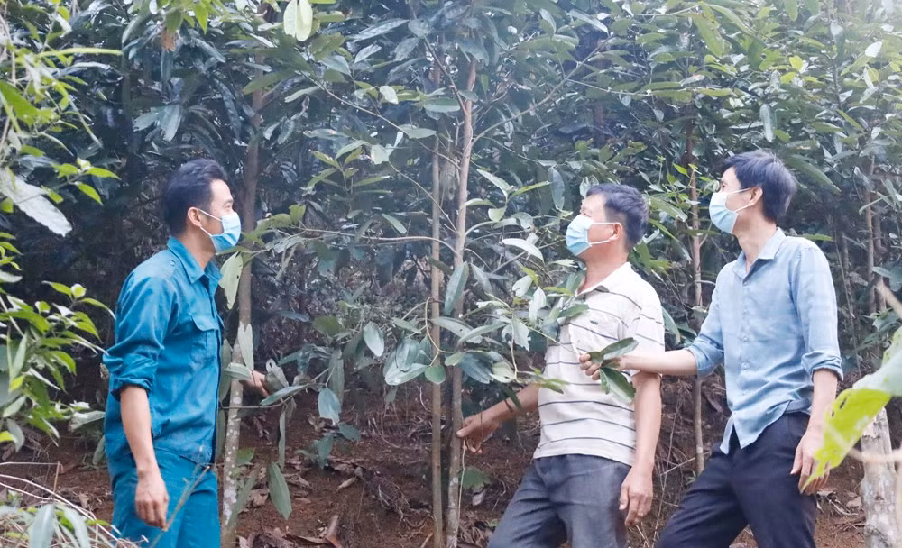 Quê hương phát triển, người dân Bảo Thắng thi đua lao động sản xuất.