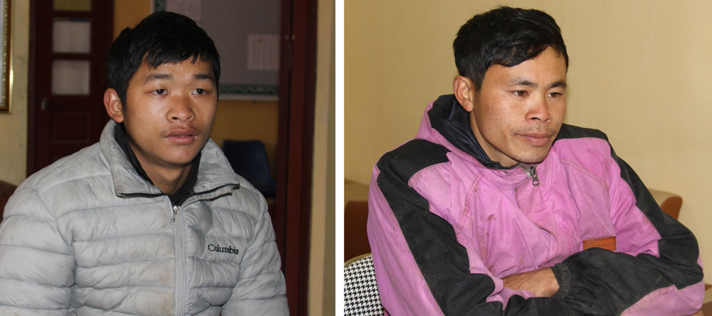 Khởi tố 2 đối tượng có hành vi chặt phá rừng phòng hộ ảnh 1