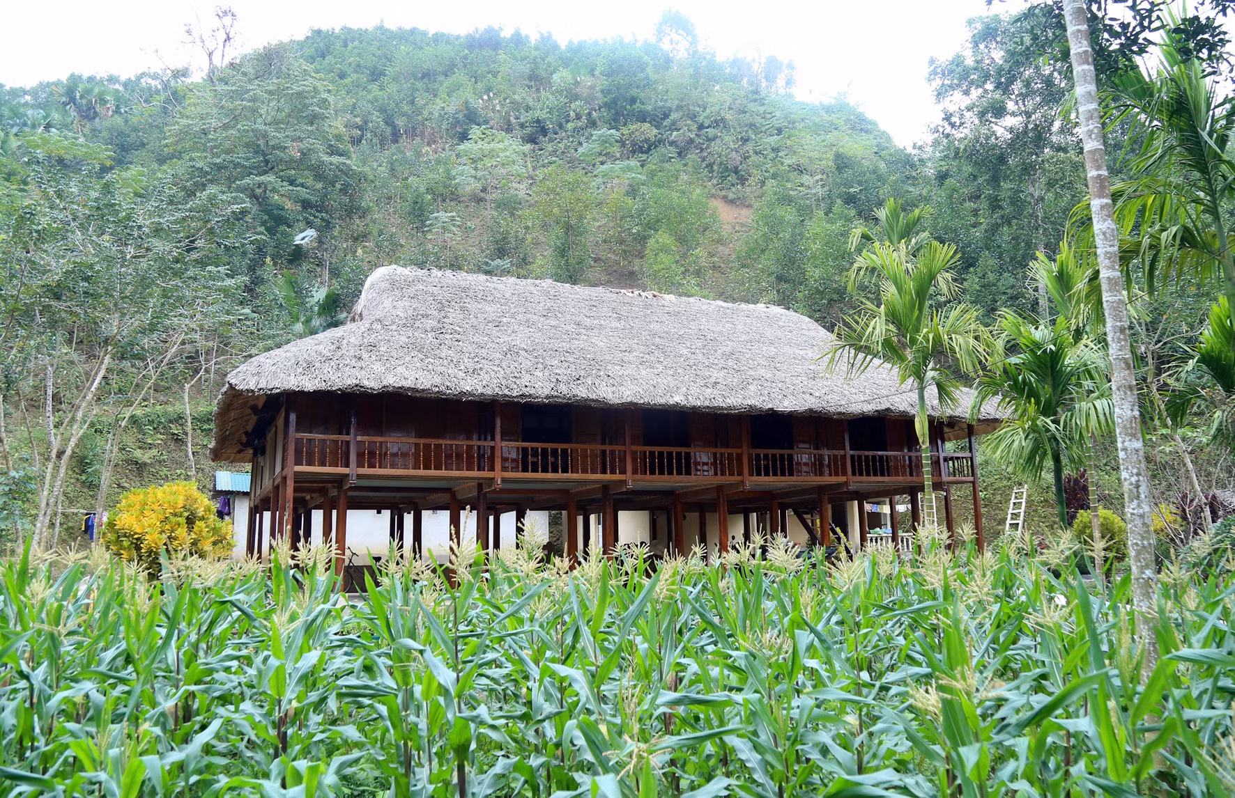 Cần gìn giữ nếp nhà sàn truyền thống ảnh 1 Cần gìn giữ nếp nhà sàn truyền thống ảnh 1