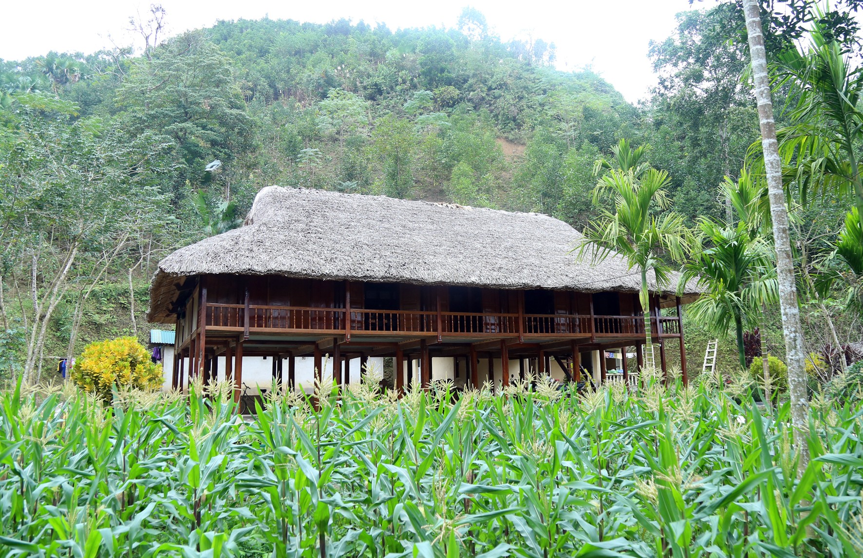 Cần gìn giữ nếp nhà sàn truyền thống ảnh 1