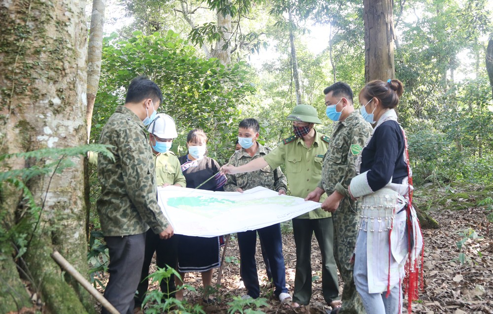 Cán bộ, nhân viên Khu BTTN Bát Xát cùng tổ tuần tra rừng ở các thôn tuần tra rừng giữ màu xanh đại ngàn. Cán bộ, nhân viên Khu BTTN Bát Xát cùng tổ tuần tra rừng ở các thôn tuần tra rừng giữ màu xanh đại ngàn.