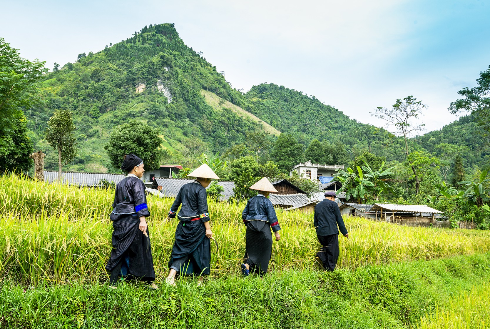 Phụ nữ Nùng Dín thực hiện nghi thức “rước hồn mẹ lúa”.