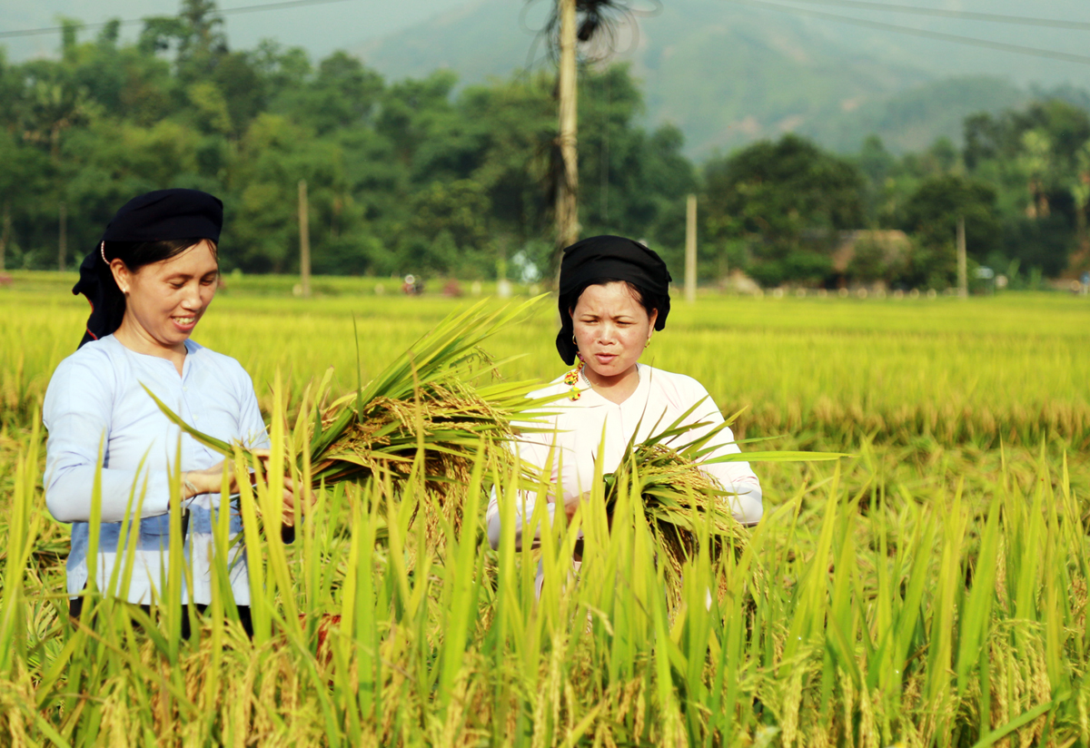 “Đánh thức” du lịch cộng đồng Nghĩa Đô ảnh 2