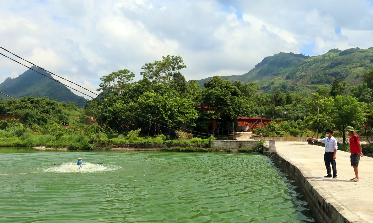 Mỗi ngày, anh Vũ Thế Mạnh (áo đỏ) tốn thêm khoảng 2,4 triệu đồng tiền thức ăn cho cá vì không thể xuất bán.