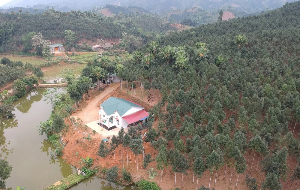  Bài 1: Nông dân đổi đời từ cây quế ảnh 1