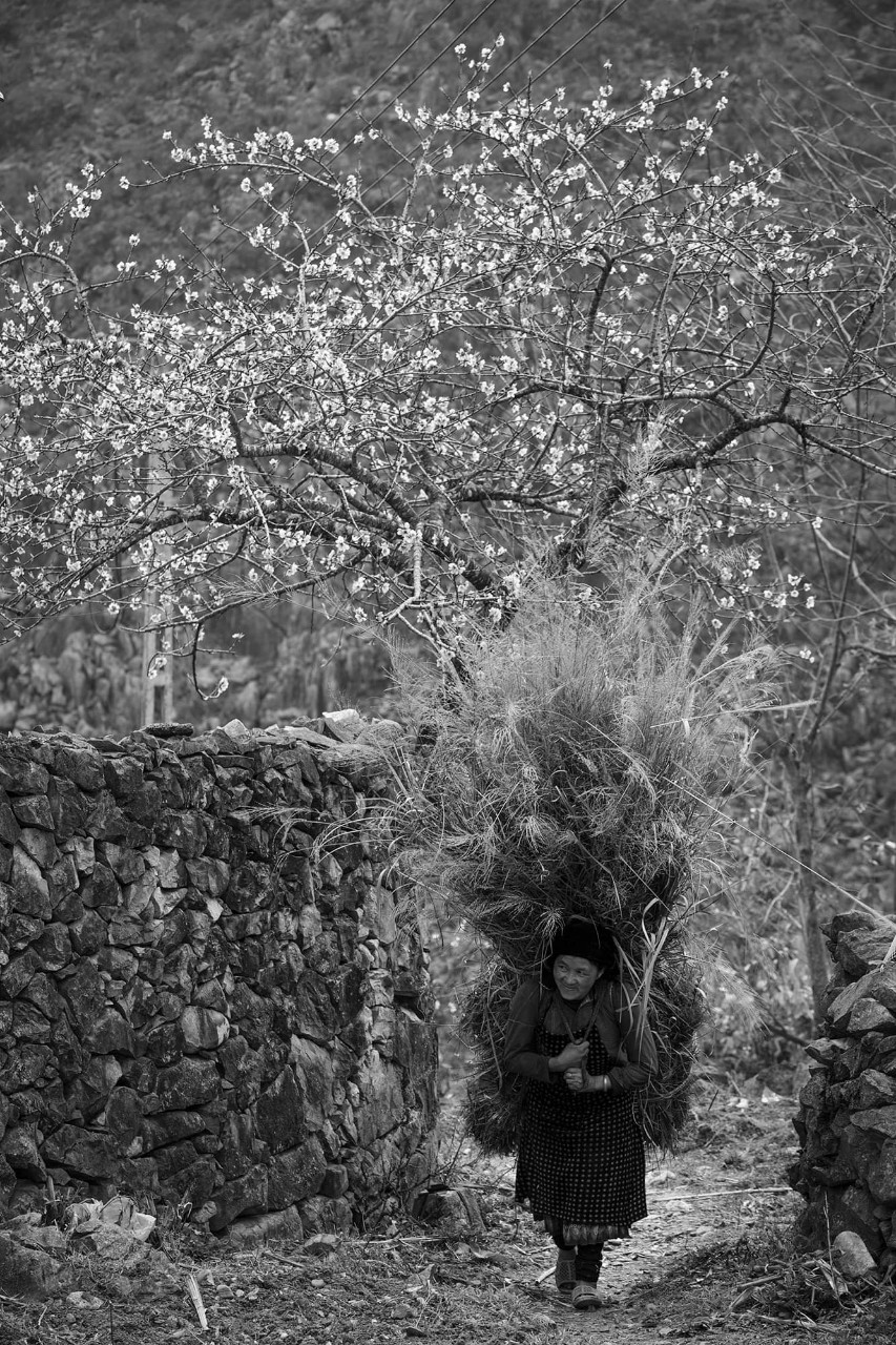 Lào Cai có 6 nhiếp ảnh gia được chọn tác phẩm triển lãm Ảnh nghệ thuật quốc tế lần thứ 11 ảnh 9 Lào Cai có 6 nhiếp ảnh gia được chọn tác phẩm triển lãm Ảnh nghệ thuật quốc tế lần thứ 11 ảnh 9