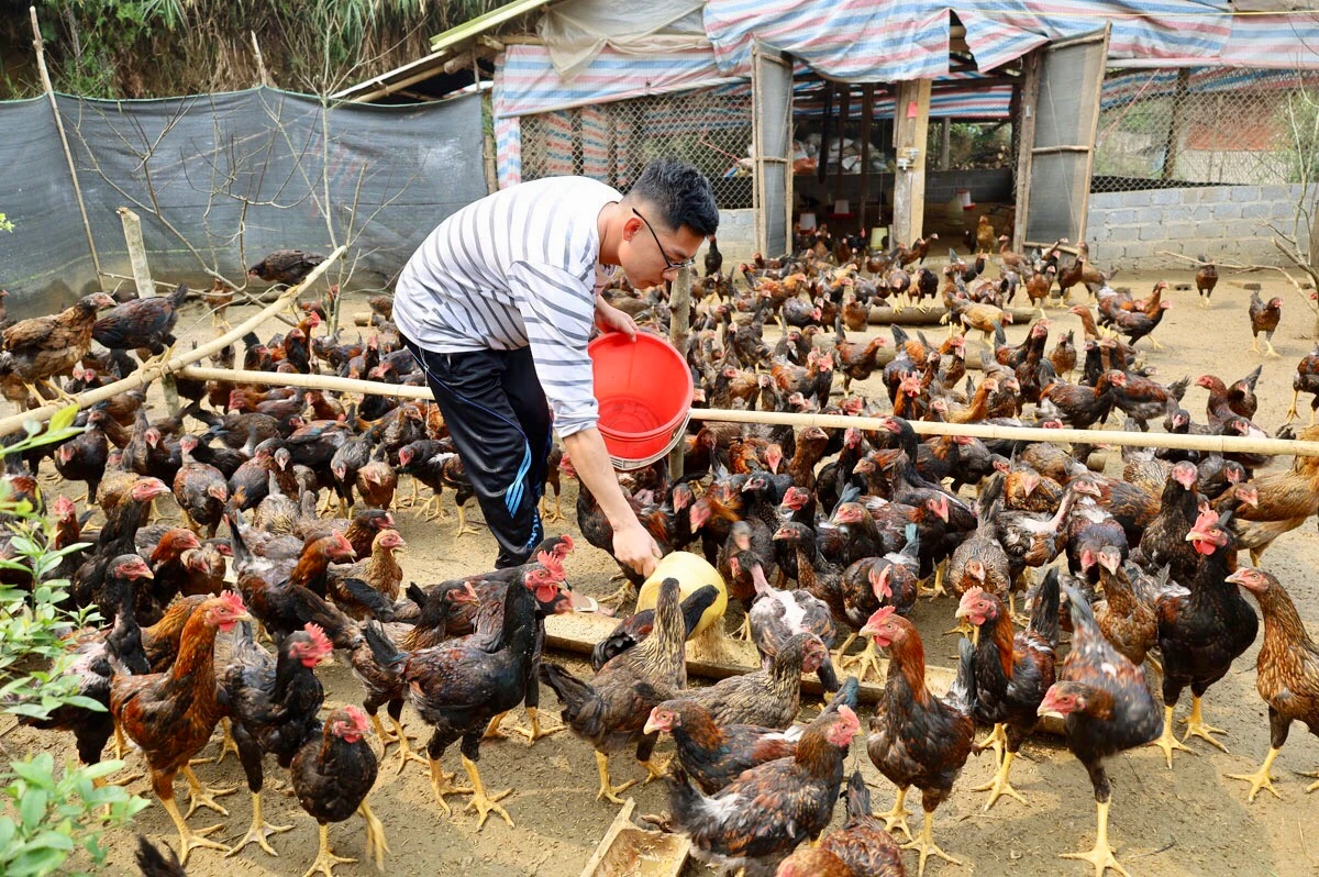 Chàng trai 9X nỗ lực khởi nghiệp ảnh 1