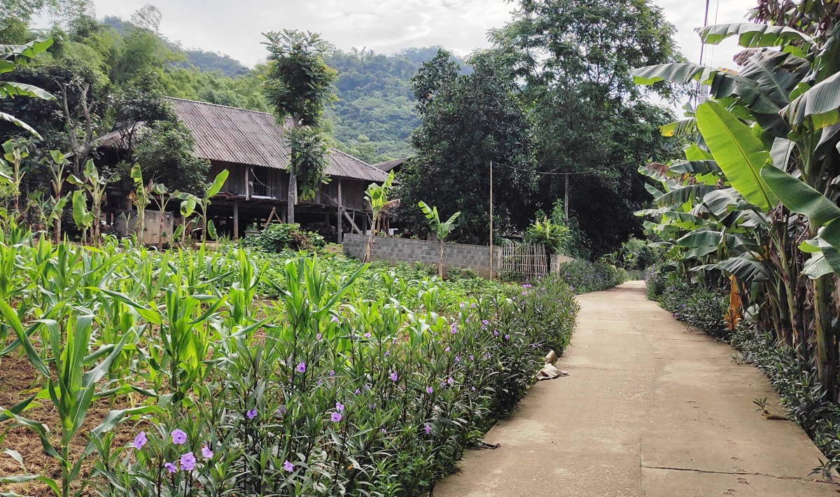 Điểm sáng thôn Thái Hòa ảnh 1