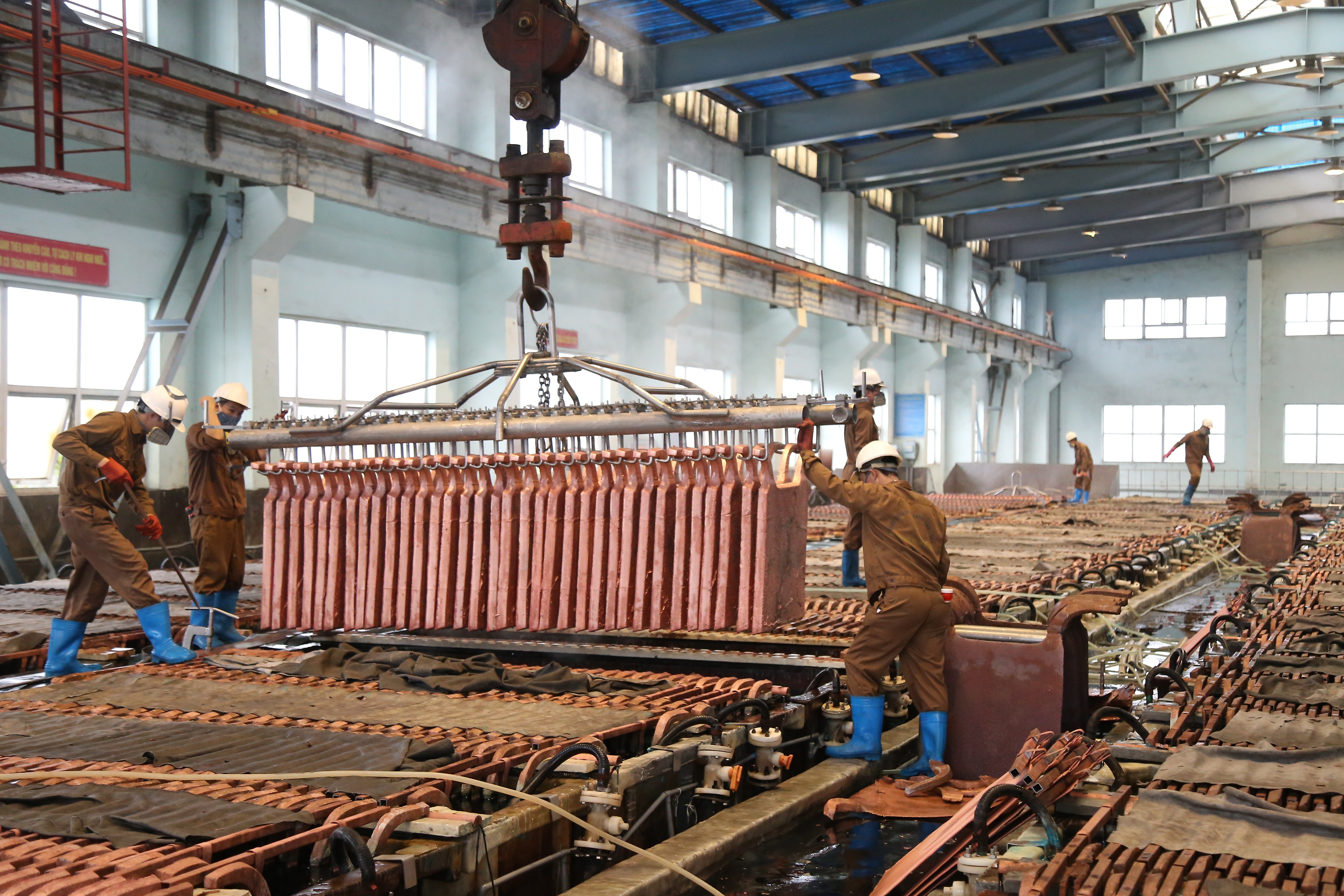  “Nuôi dưỡng” nguồn thu ngân sách ảnh 1