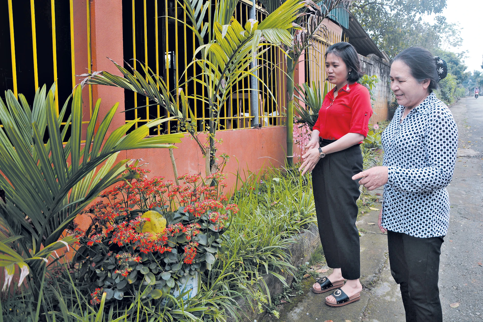 Bà Đào Thị Thim (phải ảnh) luôn nhiệt tình với công tác xã hội.