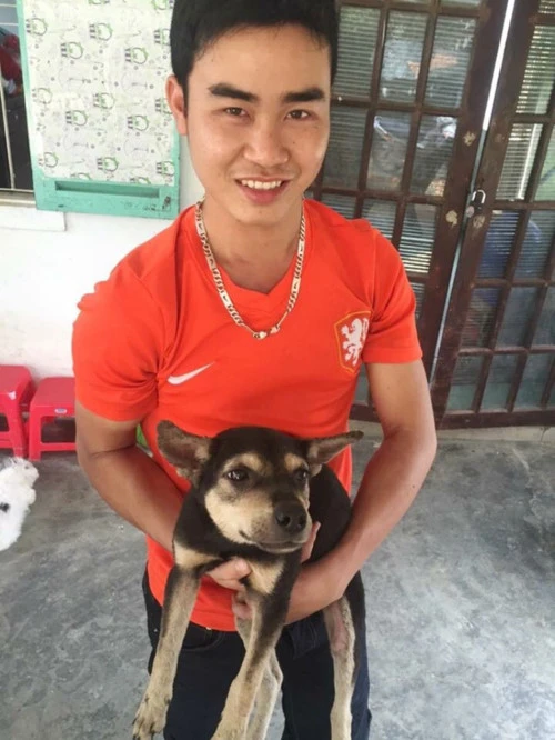 Chú chó được anh Sơn chăm sóc bên cạnh cậu chủ mới.