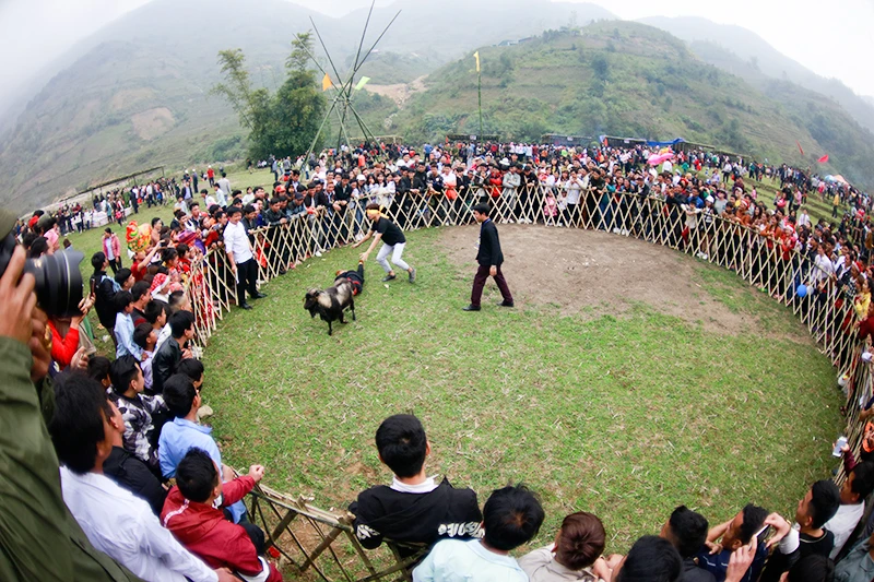 Sa Pa: Tưng bừng Lễ hội Xuống đồng ảnh 7