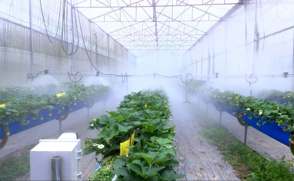 Tập đoàn Nông nghiệp Dooho có thể kiểm tra, theo dõi, điều khiển thiết bị hoạt động sản xuất từ Hàn Quốc thông qua hệ thống mạng.